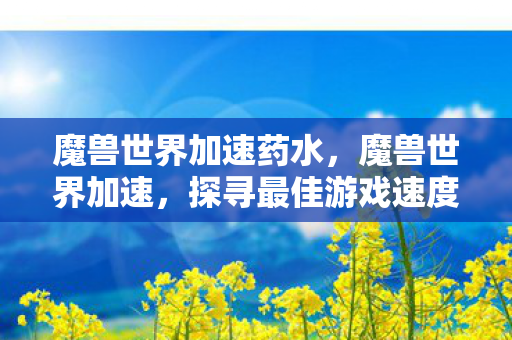 魔兽世界加速药水，魔兽世界加速，探寻最佳游戏速度与流畅体验之道