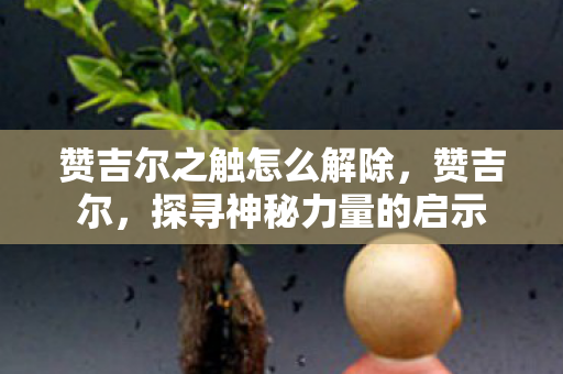 赞吉尔之触怎么解除，赞吉尔，探寻神秘力量的启示