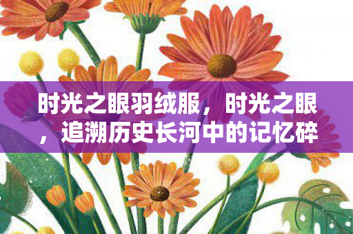 时光之眼羽绒服，时光之眼，追溯历史长河中的记忆碎片