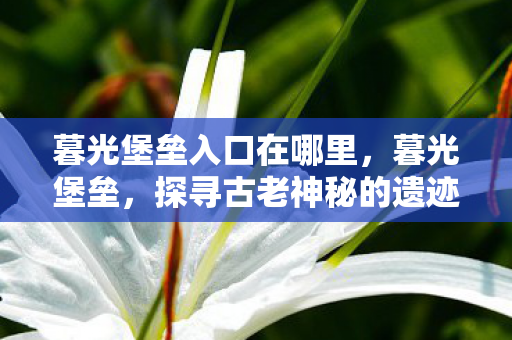 暮光堡垒入口在哪里，暮光堡垒，探寻古老神秘的遗迹