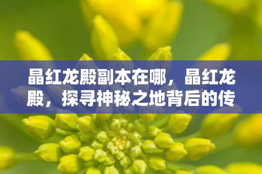 晶红龙殿副本在哪，晶红龙殿，探寻神秘之地背后的传说与真相