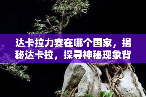 达卡拉力赛在哪个国家，揭秘达卡拉，探寻神秘现象背后的真相