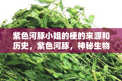 紫色河豚小姐的梗的来源和历史，紫色河豚，神秘生物探秘之旅