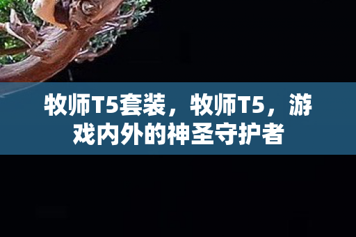 牧师T5套装，牧师T5，游戏内外的神圣守护者