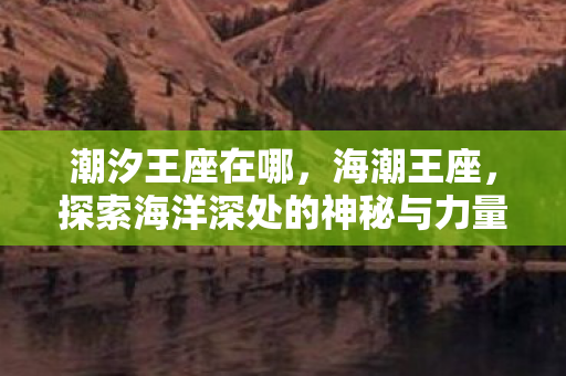 潮汐王座在哪，海潮王座，探索海洋深处的神秘与力量