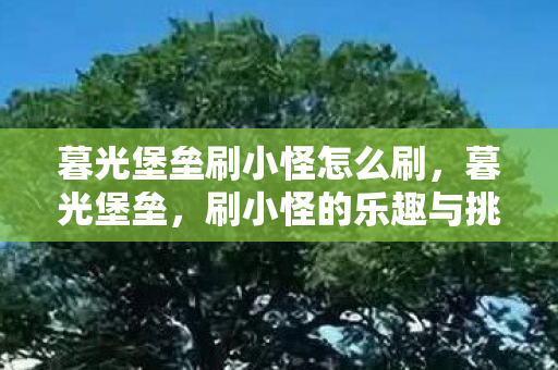 暮光堡垒刷小怪怎么刷，暮光堡垒，刷小怪的乐趣与挑战