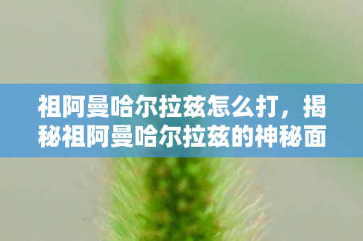 祖阿曼哈尔拉兹怎么打，揭秘祖阿曼哈尔拉兹的神秘面纱