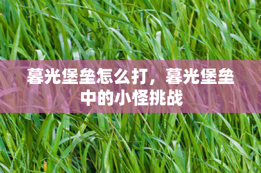 暮光堡垒怎么打，暮光堡垒中的小怪挑战