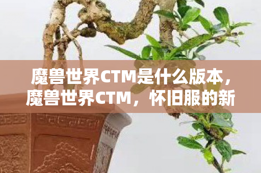 魔兽世界CTM是什么版本，魔兽世界CTM，怀旧服的新篇章