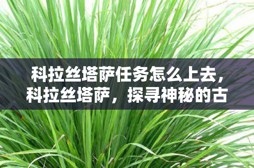 科拉丝塔萨任务怎么上去,科拉丝塔萨,探寻神秘的古老传说与力量的象征 科拉丝塔萨任务怎么上去,科拉丝塔萨,探寻神秘的古老传说与力量的象征