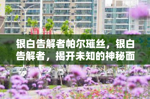 银白告解者帕尔璀丝，银白告解者，揭开未知的神秘面纱