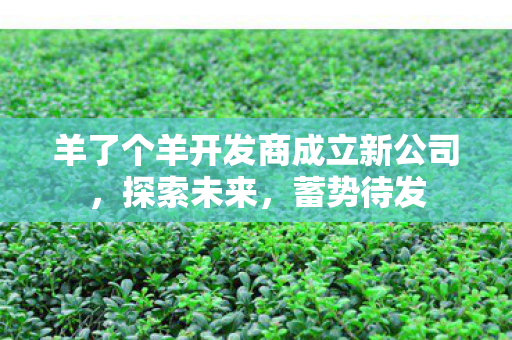 羊了个羊开发商成立新公司，探索未来，蓄势待发