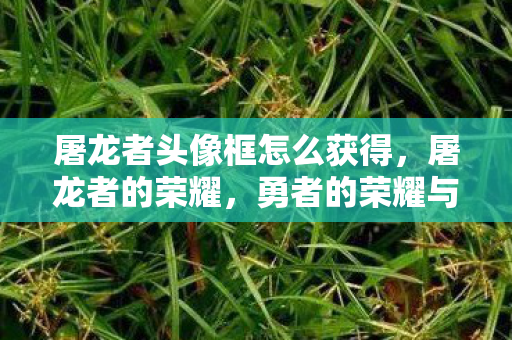 屠龙者头像框怎么获得，屠龙者的荣耀，勇者的荣耀与使命的考验