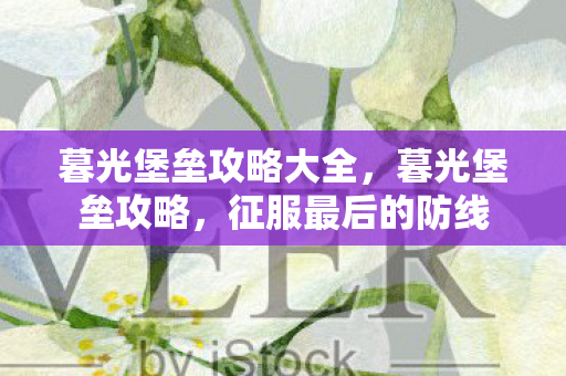 暮光堡垒攻略大全，暮光堡垒攻略，征服最后的防线
