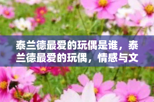 泰兰德最爱的玩偶是谁，泰兰德最爱的玩偶，情感与文化的交织