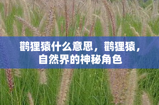 鹳狸猿什么意思，鹳狸猿，自然界的神秘角色