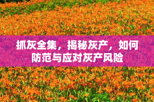 抓灰全集，揭秘灰产，如何防范与应对灰产风险