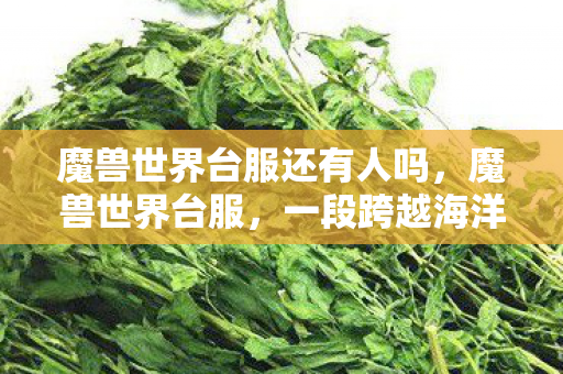 魔兽世界台服还有人吗，魔兽世界台服，一段跨越海洋的游戏情缘