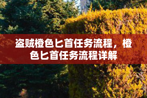 盗贼橙色匕首任务流程，橙色匕首任务流程详解