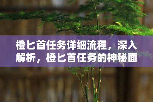 橙匕首任务详细流程，深入解析，橙匕首任务的神秘面纱
