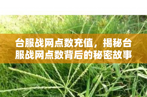 台服战网点数充值，揭秘台服战网点数背后的秘密故事