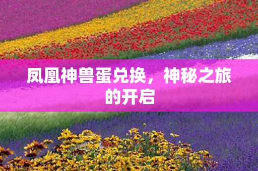 凤凰神兽蛋兑换，神秘之旅的开启