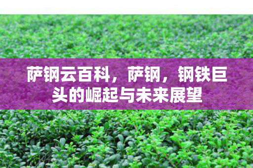 萨钢云百科，萨钢，钢铁巨头的崛起与未来展望