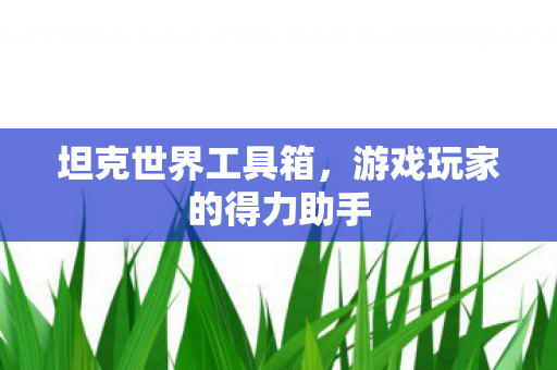 坦克世界工具箱,游戏玩家的得力助手 坦克世界工具箱,游戏玩家的得力助手