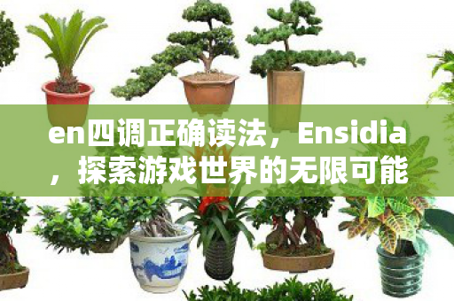 en四调正确读法,Ensidia,探索游戏世界的无限可能 en四调正确读法,Ensidia,探索游戏世界的无限可能