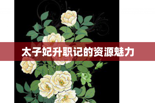 太子妃升职记的资源魅力 太子妃升职记的资源魅力
