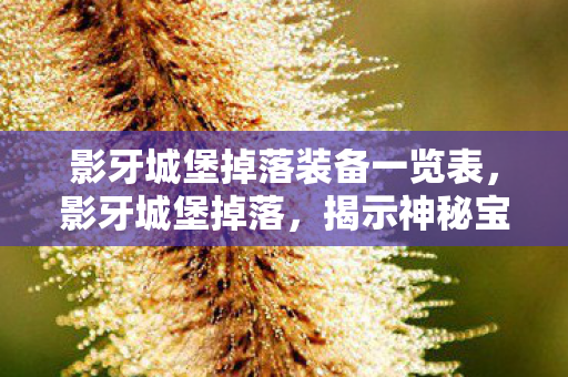 影牙城堡掉落装备一览表，影牙城堡掉落，揭示神秘宝藏与探险之旅的奥秘