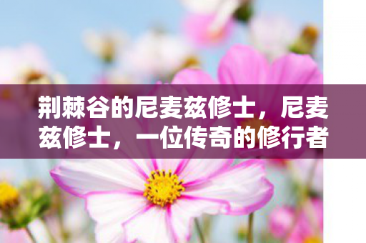 荆棘谷的尼麦兹修士，尼麦兹修士，一位传奇的修行者的人生之旅