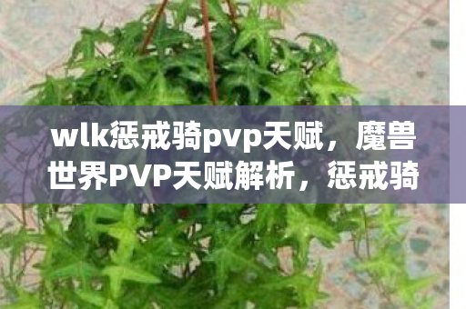 wlk惩戒骑pvp天赋，魔兽世界PVP天赋解析，惩戒骑的崛起与挑战