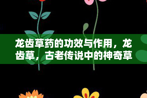 龙齿草药的功效与作用，龙齿草，古老传说中的神奇草药