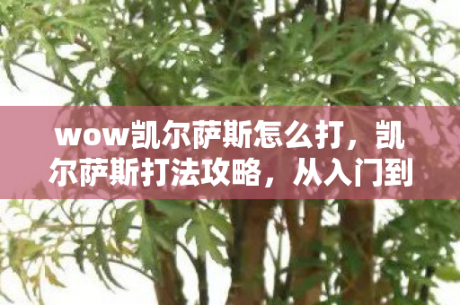wow凯尔萨斯怎么打，凯尔萨斯打法攻略，从入门到精通