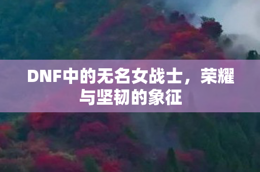 DNF中的无名女战士，荣耀与坚韧的象征