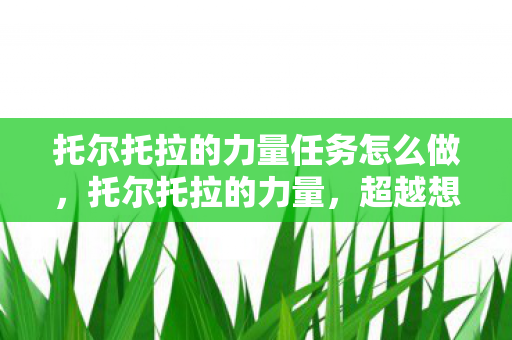 托尔托拉的力量任务怎么做，托尔托拉的力量，超越想象的神秘能量