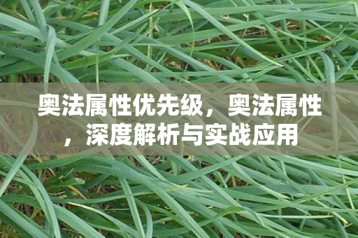 奥法属性优先级，奥法属性，深度解析与实战应用