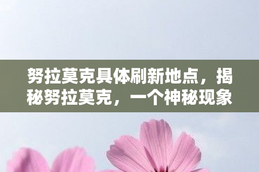 努拉莫克具体刷新地点，揭秘努拉莫克，一个神秘现象的背后故事