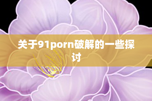 关于91porn破解的一些探讨 关于91porn破解的一些探讨