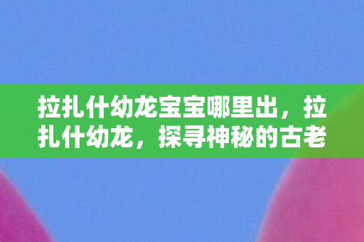 拉扎什幼龙宝宝哪里出，拉扎什幼龙，探寻神秘的古老生物