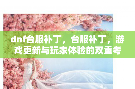 dnf台服补丁，台服补丁，游戏更新与玩家体验的双重考量