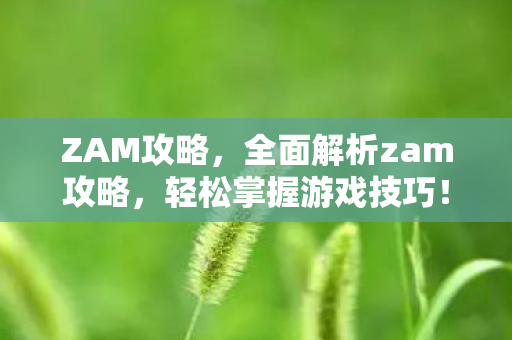 ZAM攻略，全面解析zam攻略，轻松掌握游戏技巧！
