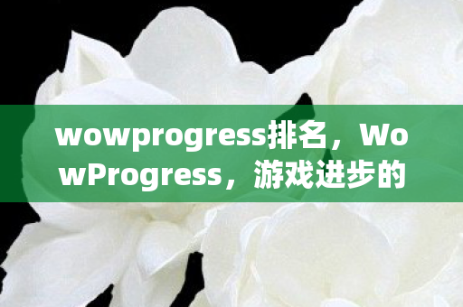 wowprogress排名，WowProgress，游戏进步的见证者