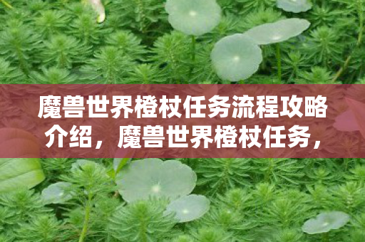 魔兽世界橙杖任务流程攻略介绍，魔兽世界橙杖任务，史诗般的历程与荣耀的见证