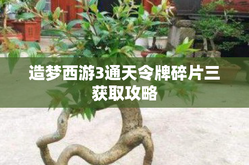 造梦西游3通天令牌碎片三获取攻略