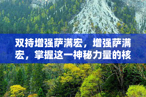 双持增强萨满宏，增强萨满宏，掌握这一神秘力量的核心要素
