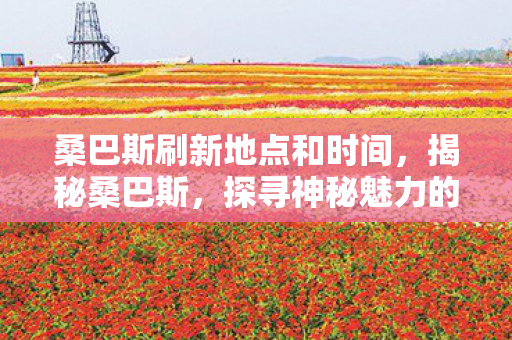 桑巴斯刷新地点和时间，揭秘桑巴斯，探寻神秘魅力的背后故事