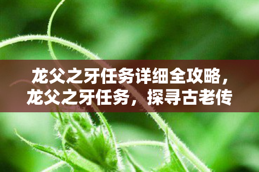 龙父之牙任务详细全攻略，龙父之牙任务，探寻古老传说中的勇气与荣耀