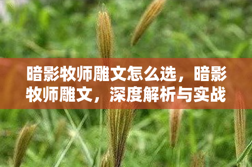 暗影牧师雕文怎么选,暗影牧师雕文,深度解析与实战应用 暗影牧师雕文怎么选,暗影牧师雕文,深度解析与实战应用